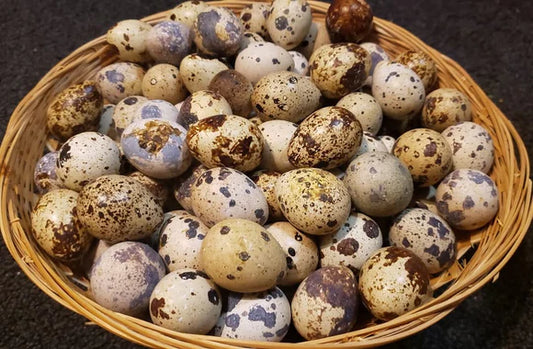 Quail Eggs - 2 Dozen