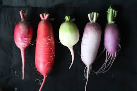 Radishes, Winter Mix