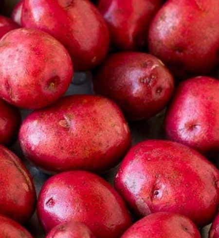 Potatoes - Red LaSota