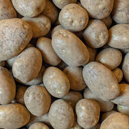 Potatoes - Russet