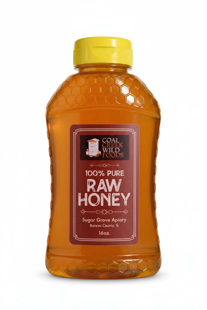 A 16oz bottle of Coal Creek Wild Foods 100% Pure Raw Honey, specifically Sugar Grove Apigear, filled with golden honey and topped with a bright yellow cap, set against a textured gray background.