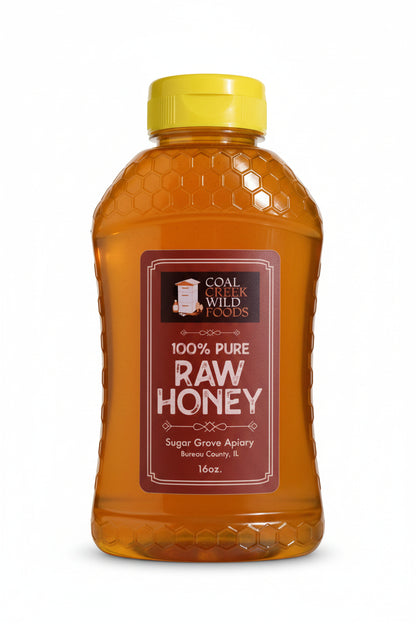 A 16oz bottle of Coal Creek Wild Foods 100% Pure Raw Honey, specifically Sugar Grove Apigear, filled with golden honey and topped with a bright yellow cap, set against a textured gray background.