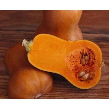 Honeynut Squash