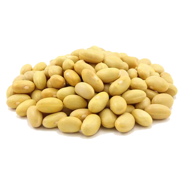 Organic Dry Beans, Yellow Canary Beans